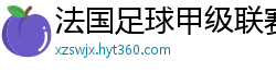 法国足球甲级联赛